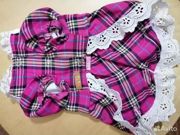 Одежда для собак