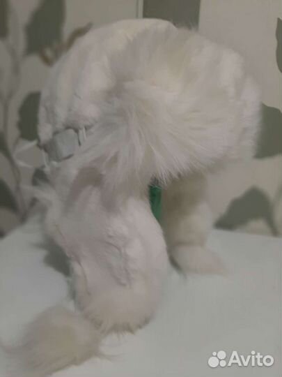 Шапка ушанка. женская