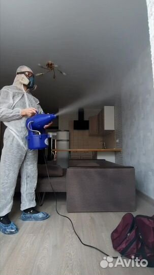 Уничтожение тараканов, клопов, плесени, крыс, блох