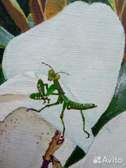 Картина акрил холст магнолия гиперреализм 30*40