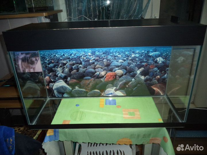 Новые Аквариумы 10.20.30.40.50.80.100 и 120 л