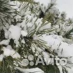 Ель 2м - 3,5м оптом и в розницу