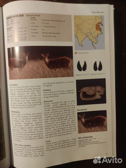 Книга для охотников