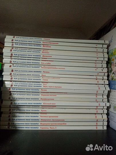 Книжки для развития, коллекция, 40шт