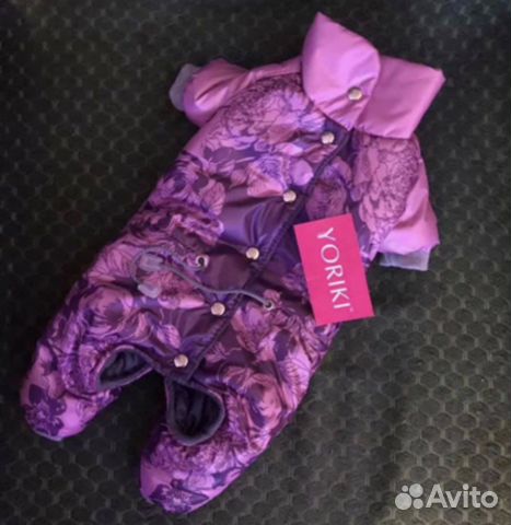 Одежда для собак