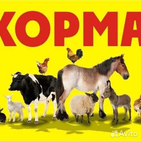 Корма для с/х животных и птицы