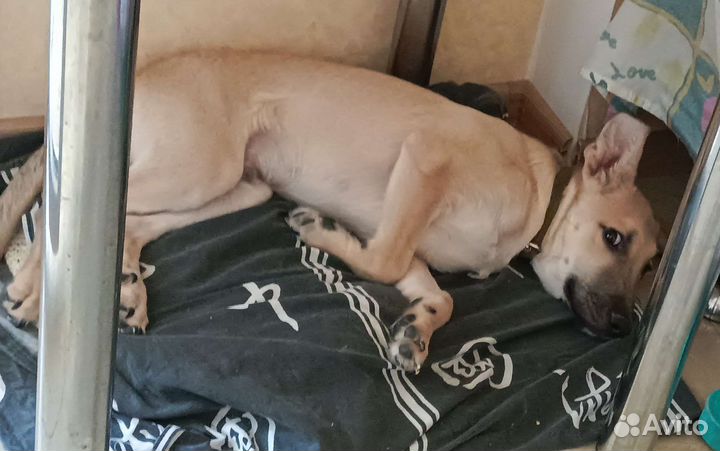 Мальчик ищет дом