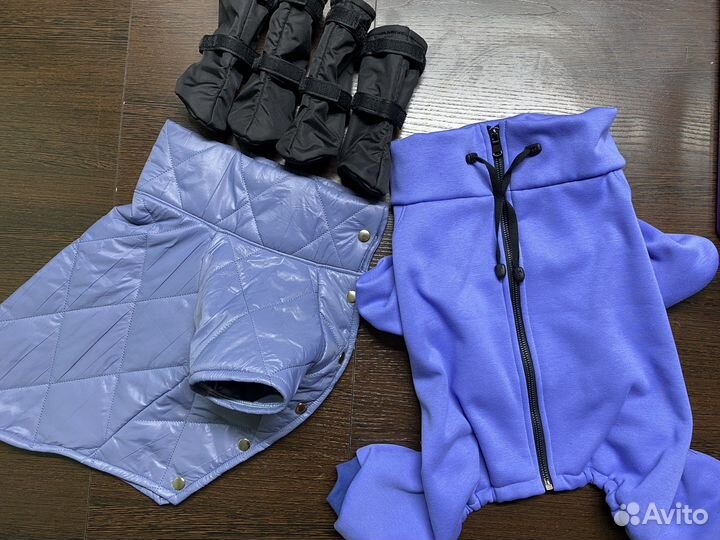 Собачья одежда