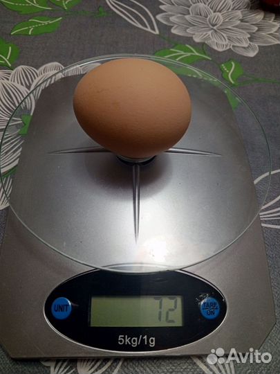 Домашние куриные яйца