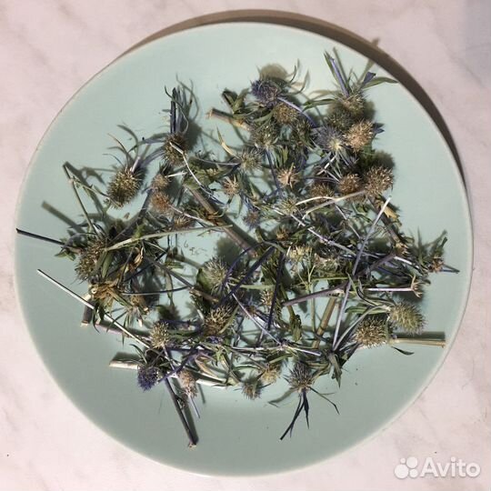 Синеголовник