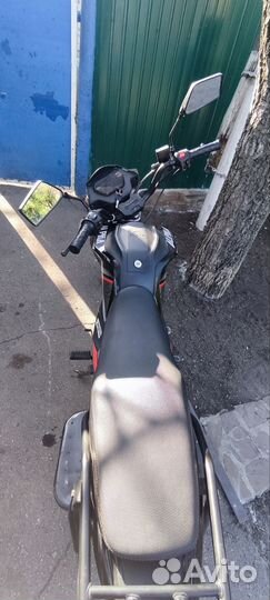 Альфа чамп вопросы в лс