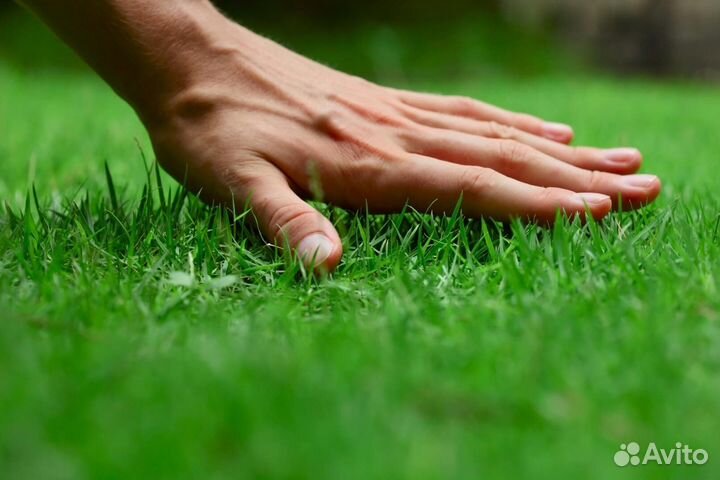 Земля 1 класса плодородная, полевой грунт, грунт