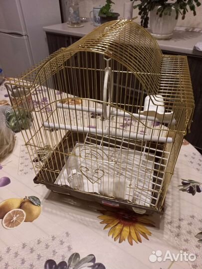Клетка для попугая