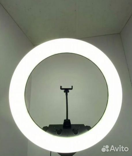 Большая Кольцевая Лампа