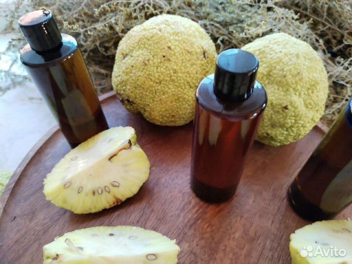 Мазь(Маклюра),лечение подагры,ревматизма и др