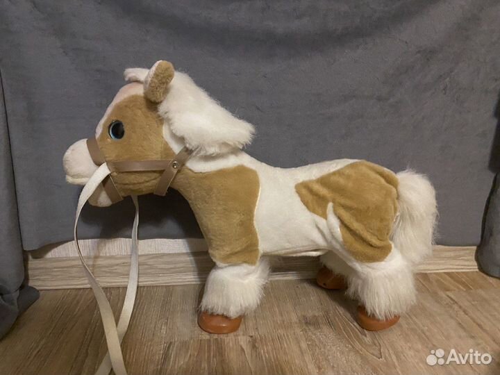 Лошадка Лили