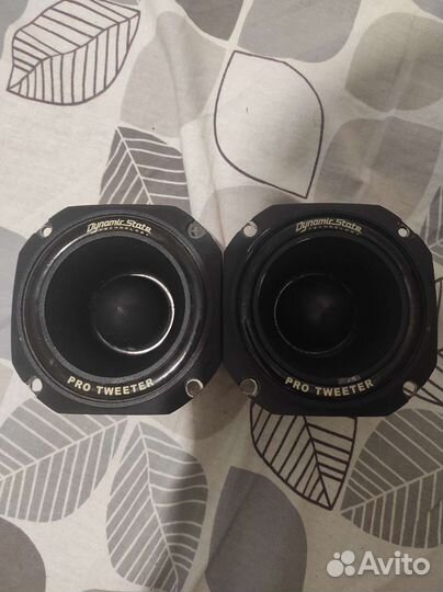 Рупора dynamic state