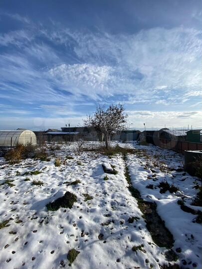 Дом 80 м² на участке 10 сот.