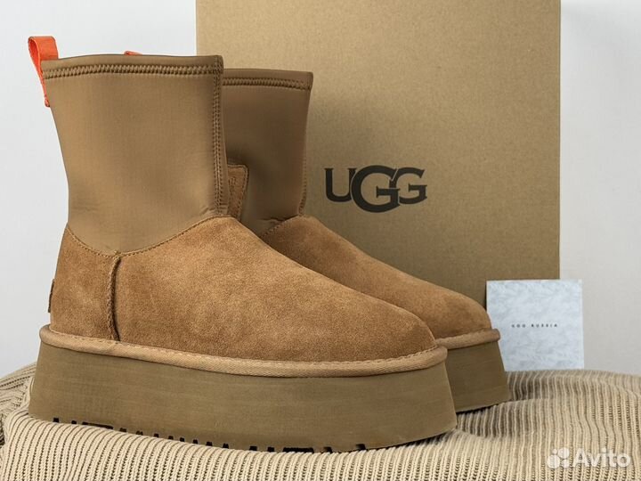 Угги UGG Dipper Chestnut на платформе