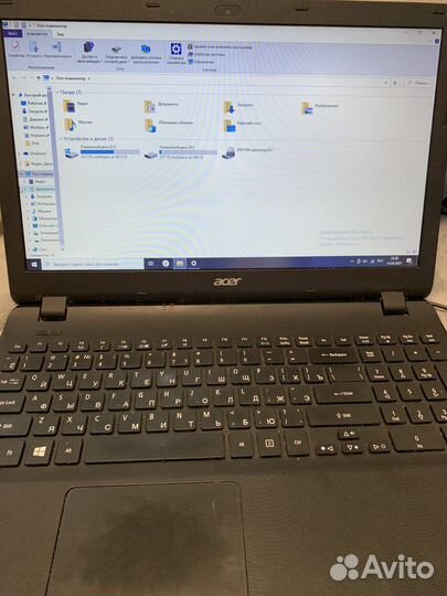 Acer extensa 2519