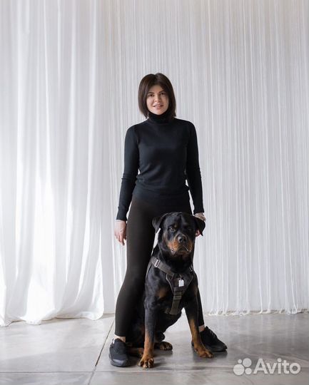 Кинолог/Дог-тренер