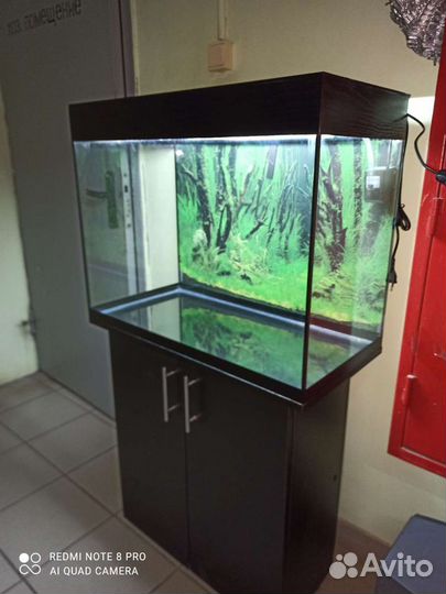 Аквариум 122, свет биофильтр фон