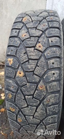 Matador MP 51 Sibir 2 175/65 R14