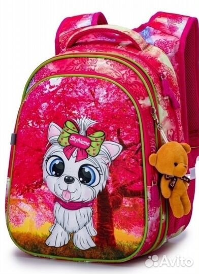 Портфель (рюкзак) школьный новый SkyName