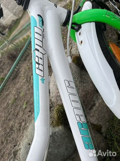 Велосипед author agang capo