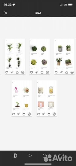 Веб-дизайнер