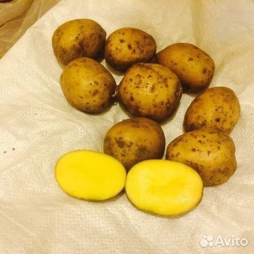 Картофель