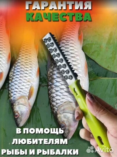 Рыбочистка с доставкой