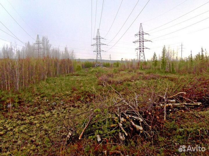 Лесовосстановление, расчистка просек, площадок, вы