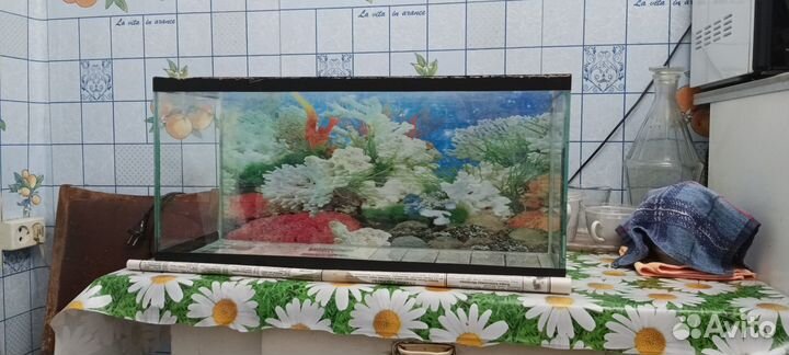 Аквариумы и разное оборудование
