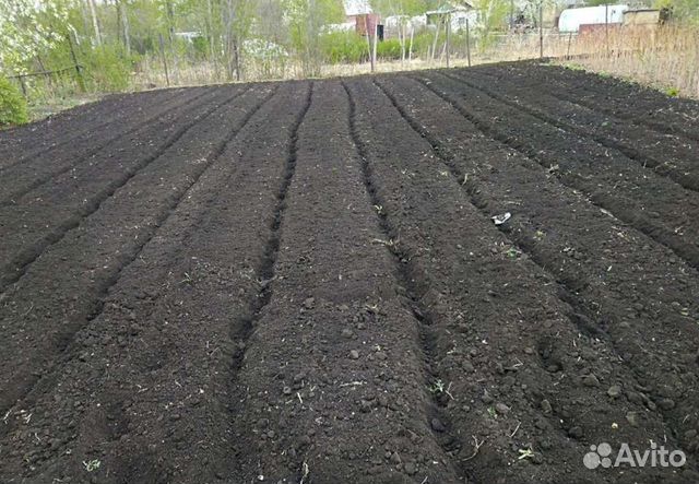 Вспашка земли мотоблоком в Волгодонске | Услуги | Авито