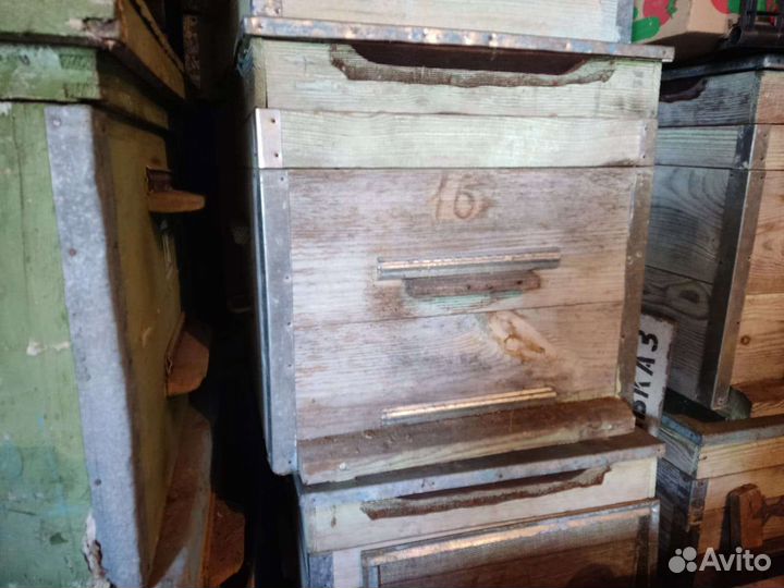 Пчелиные ульи