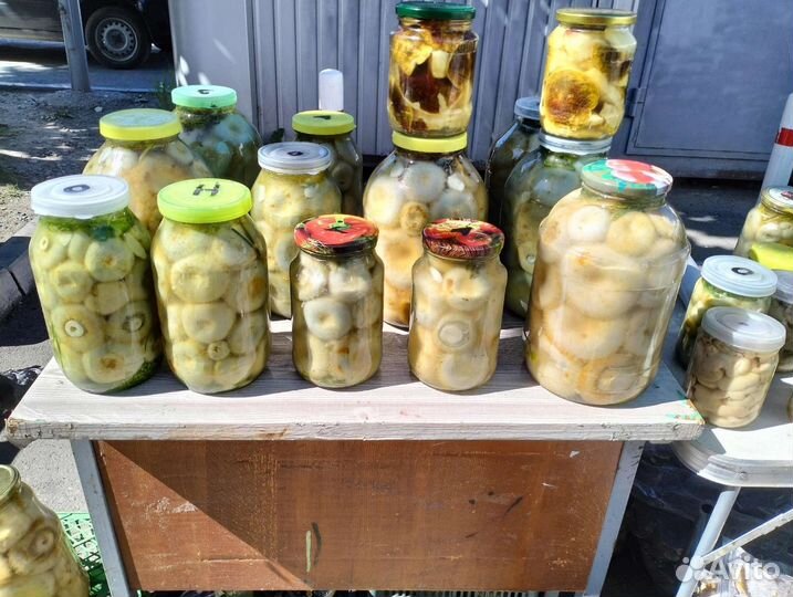 Груздь соленый сырой, сухой