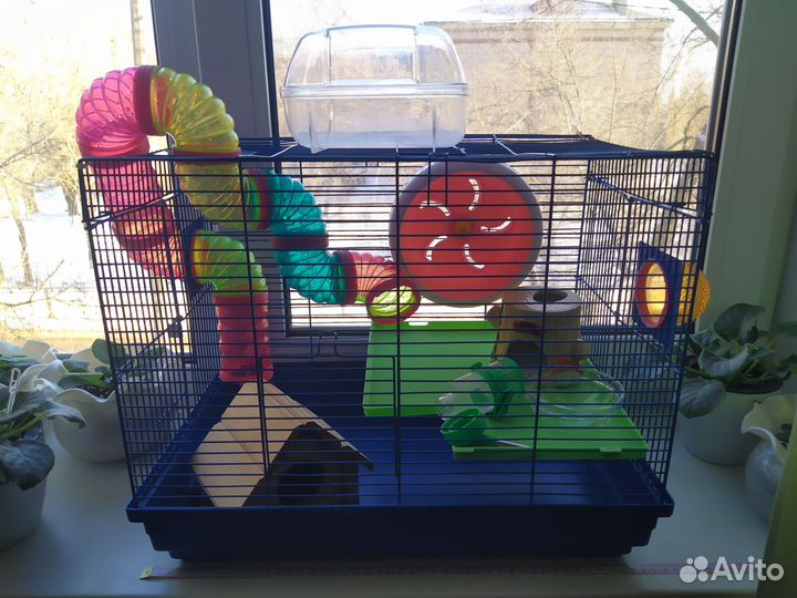 Клетка для грызунов