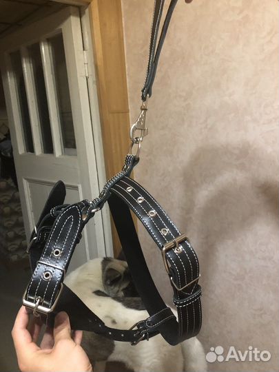 Шлейка кожаная для большой собаки