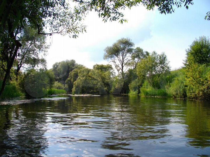 Участок 10 сот. (ИЖС)