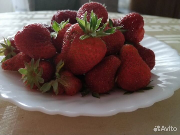 Клубника:Черный принц,сенсация