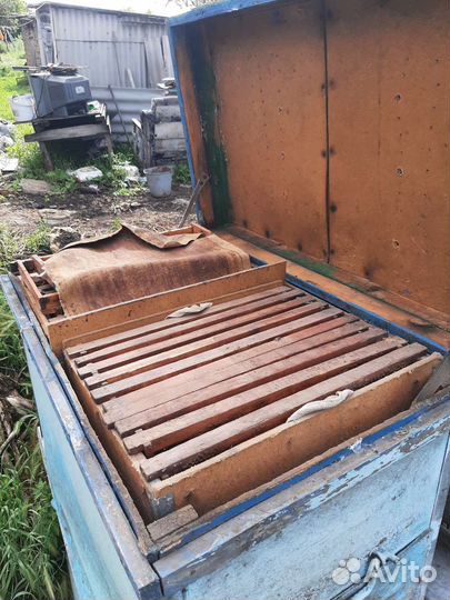 Улики для пчел