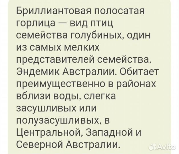 Горлица бриллиантовая