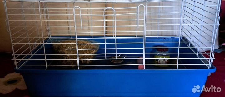 Клетка для грызунов большая с Комплектом