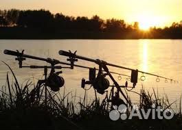 Трофейная рыбалка и комфортный отдых