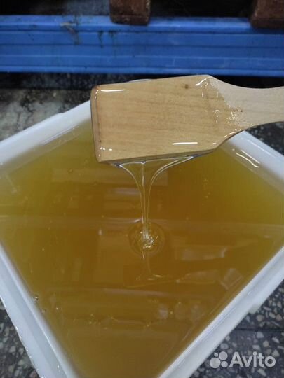 Натуральный мёд липа Свежий