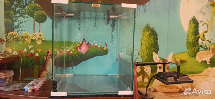 Аквариум