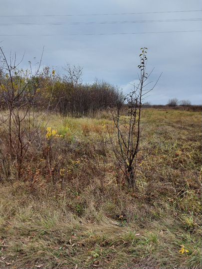 Участок 25 сот. (ИЖС)