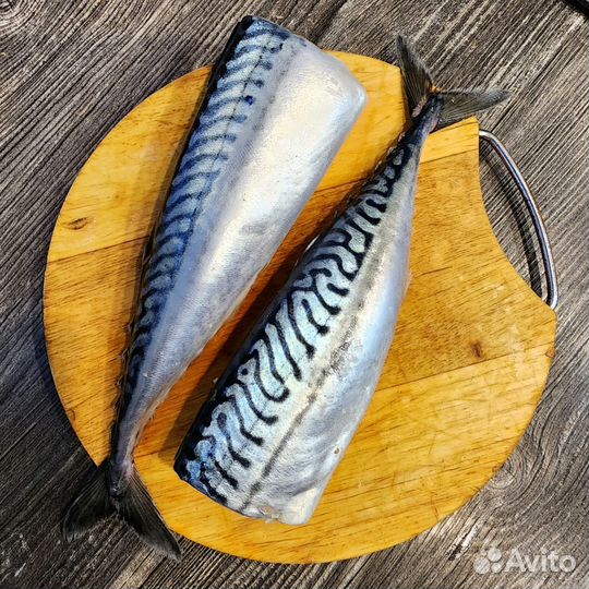 Скумбрия, терпуг, минтай премиальное качество