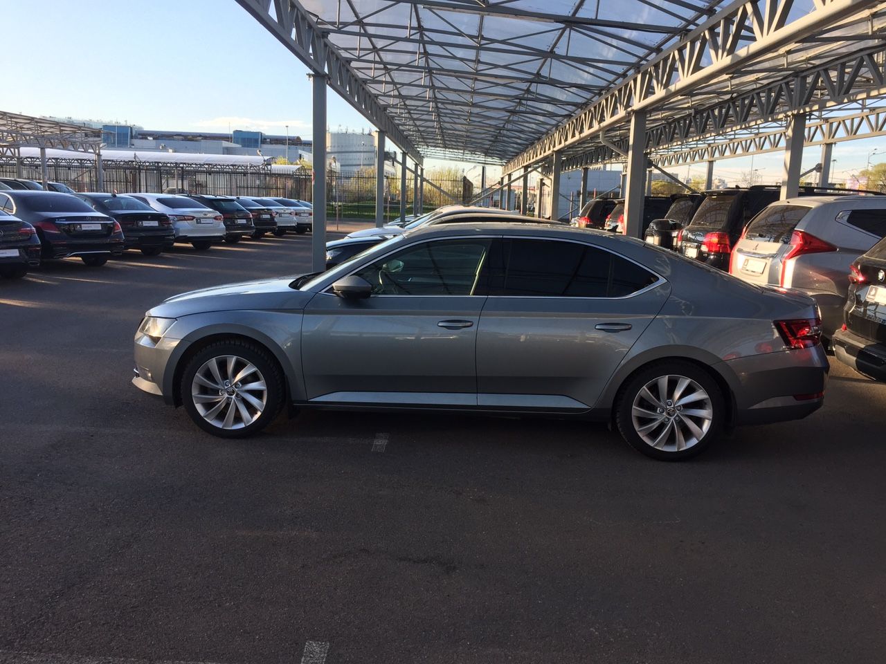 Skoda Superb: фото владельца